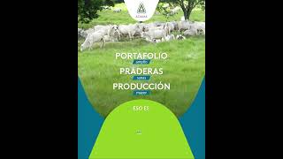 Adama. Eso es Px3
