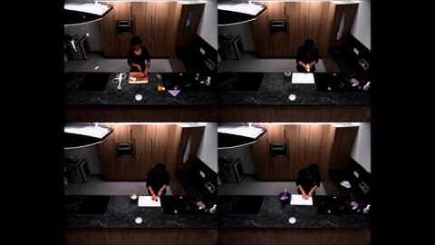 Dominant Codewords Selection with Topic Model for Action Recognition (CVPR 2016 LAP)