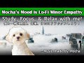 Lo-Fi Hip Hop BGM Study/Work/Relax [勉強/作業/リラックスBGM] Minor Empathy Album