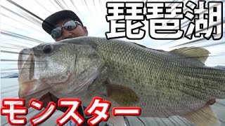 秦拓馬×釣りよか　ついにロクマルでるか・・・！？