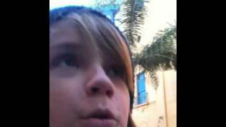 IMG 07951
