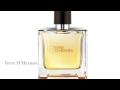 Top 10 Best Colognes for Men  [HD]