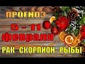 Таро прогноз (гороскоп)  с 5 по 11 февраля  РАК,  СКОРПИОН,  РЫБЫ