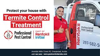Protect Your Books From Termite Infestation in Aruba📚🐜