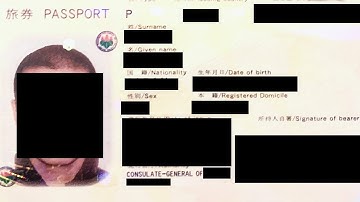 Fake Japanese Sunday Steaming