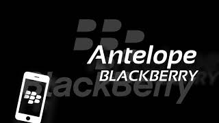 Antelope - Alarm - Blackberry screenshot 4