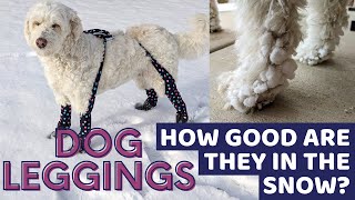 Walkee Paws for Preventing Leg Snowballs on Doodles: A Review by Doodle Doods 8,869 views 3 years ago 12 minutes, 15 seconds