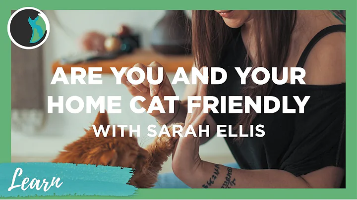 Are you and your home cat friendly - Sarah Ellis