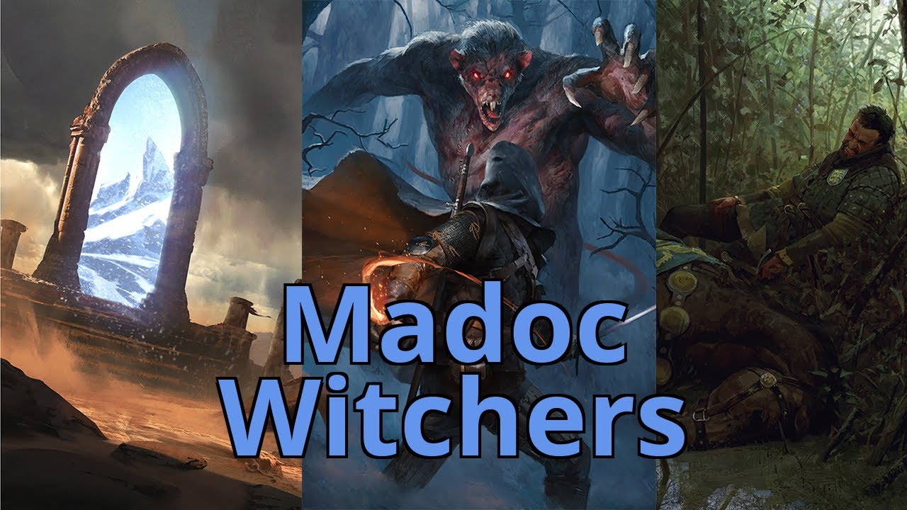 [Gwent] How Good is Specimen's Shield Wall Witchers? YouTube