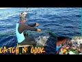 handline fishing, [ padaraw ] catch and cook, hanapbuhay sa isla, [ top 4 question answer ]