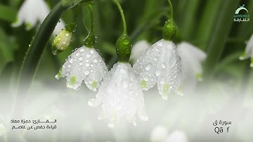 50 سورة ق | القارئ :حمزة معاذ