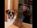 Old man scares dog