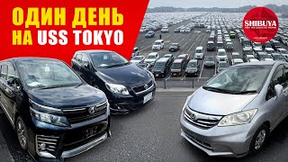 видео: И СНОВА В РАЮ | USS TOKYO | АВТО ИЗ ЯПОНИИ картинка: И СНОВА В РАЮ | USS TOKYO | АВТО ИЗ ЯПОНИИ