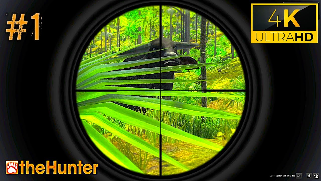 THE HUNTER CLASSIC Gameplay Walkthrough Part-1 [4K60FPS] #hunting - YouTube
