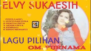 Sunyi Dan Duka - Elvy Sukaesih OM. Purnama