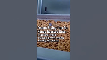 03 Peanut Frying Line for Honey Roasted Nuts Flow Chart: Coating Frying Second Coating Cooling