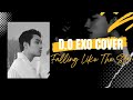 Terjemahan Falling Like The Stars + Lirik [ D.O. Kyungsoo EXO Cover] [James Arthur]