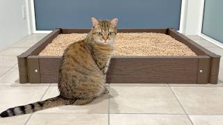 猫の砂場を作って３か月…悲しい結果になりました