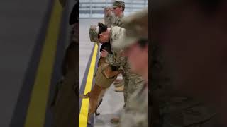 Wait for the moment he finds his person... ❤️🐾