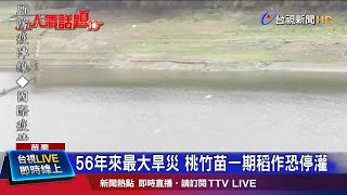 56年來最大旱災 桃竹苗一期稻作恐停灌