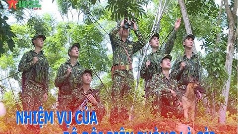 Chuyên viên không biên giới nghĩa là gì năm 2024