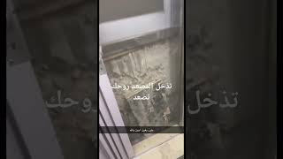 ٢٦ فبراير ٢٠٢٥