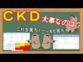 【管理栄養士】CKD　解説講座