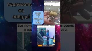 #мем #мемы #memes #mem #смешно #ржака #юмор #смех #жиза