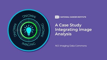 A Case Study Integrating Image Analysis, NCI Imaging Data Commons