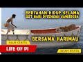 Kisah Nyata Perjuangan Bertahan Hidup Di Tengah Samudera Bersama Harimau | ALUR CERITA FILM