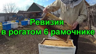 Сокращение пчелиного гнезда в 6 рамочном улье по методу Блинова