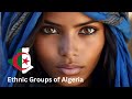 ALGERIA Major Ethnic Groups In Algeria African Scribe ALGERIA Major Ethnic Groups In Algeria African Scribe