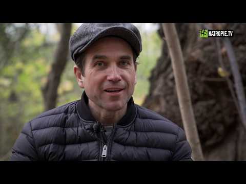 Marcin Dorociński -