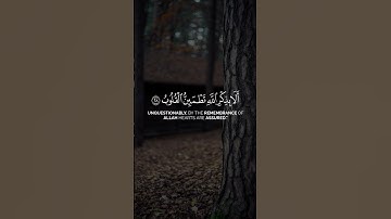 الا بذكر الله تطمئن القلوب | سورة الرعد | علي جابر