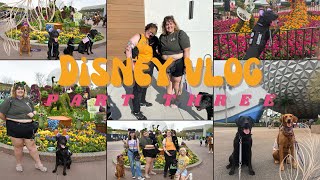 last day at disney! | service dog vlog