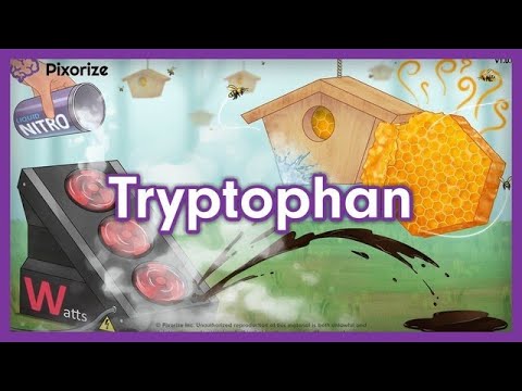 वीडियो: ट्रिप्टोफैन के लिए कोडन क्या है?