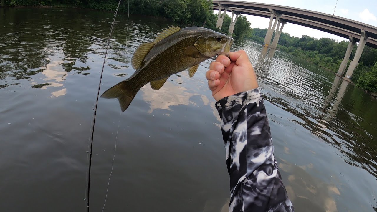 Ned Rig fishing for Smallmouth on the Delaware River