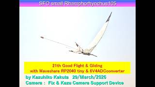 サーボ駆動翼竜型羽ばたき機 SFORhamphorhynchus105 27g: 21th Good Flight & Gliding with RP2040 tiny & 6V4ADCc