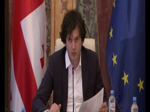 სახელმწიფო საკონსტიტუციო კომისიის სხდომა