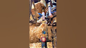 Automated Wood Lathe Shaping