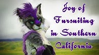Beetlecat Originals - YouTube