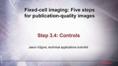 3.4 Controls–Fixed cell imaging: 5 steps for publication-quality images