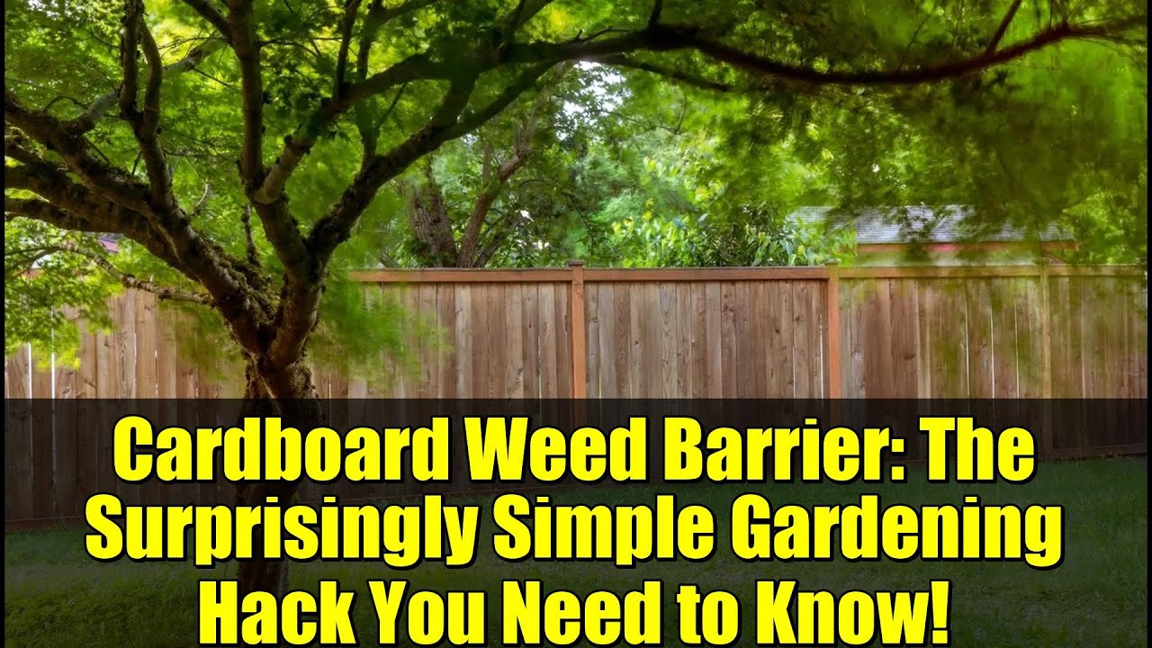 Cardboard Weed Barrier: The Surprisingly Simple Gardening Hack You Need to Know!