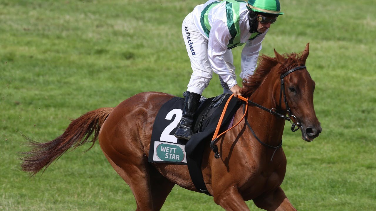 Renntag in Hannover am 25.10.2020