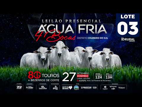 LOTE 03