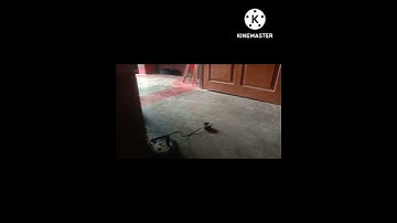 Speaker Blast 💣💣 Shorts Experiments