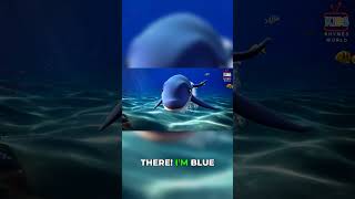 Red &amp; Blue: Fun Color Learning for Kids!