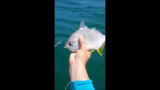 Ultra Light Fishing Inshore Costa Rica (catch and Release)