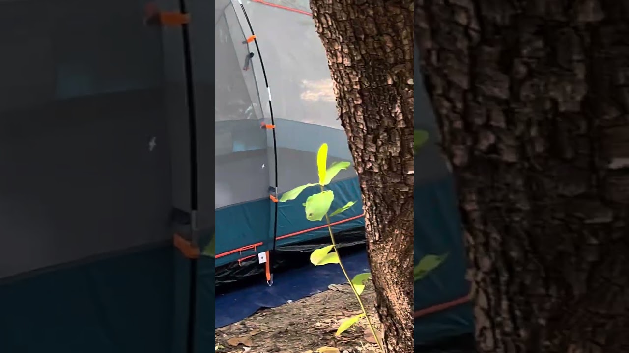 Paradise at Balgal Beach 🏝️ 😍