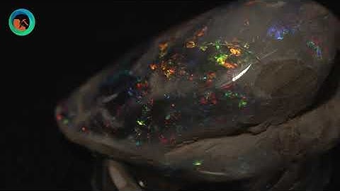 Opal and Opalised Shells from Coober Pedy